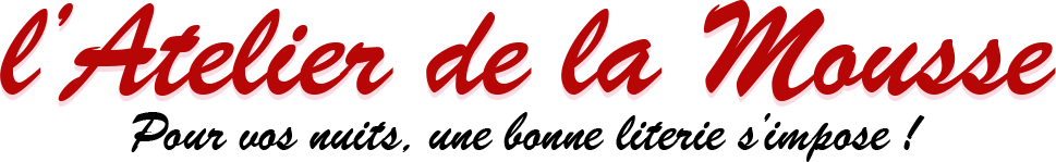 Logo Atelier de la Mousse